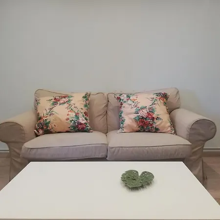شقة Amplio Piso De 4 Y Terraza En El Centro De Santiago سانتياغو دي كومبوستيلا